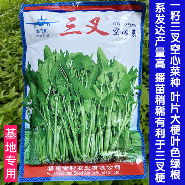 三叉空心菜种子叶片大梗粗淡青色500克春夏秋播种子