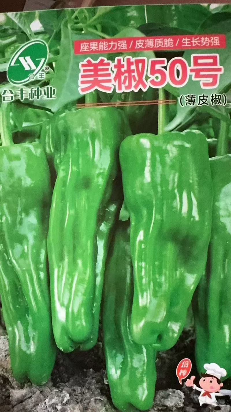 美椒50号-薄皮椒种子早熟鲜食耐低温皮薄质脆