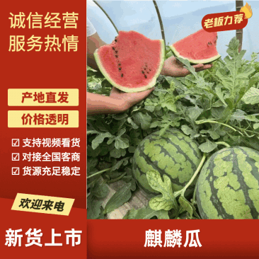 精品麒麟西瓜，美都西瓜大量上市，品质保证来电优惠