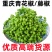 真空新鲜青花椒云南昭通特麻特香鲜花椒保鲜花椒鲜花椒鲜麻椒