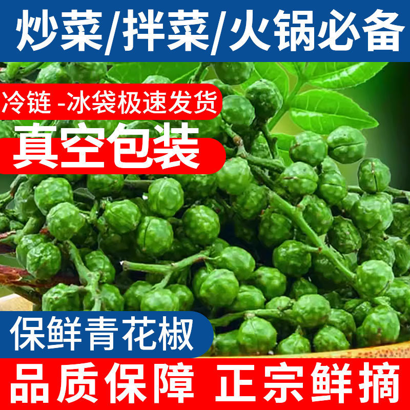 新鲜青花椒重庆四川真空保鲜花椒鲜花椒藤椒特麻特香鲜花椒商