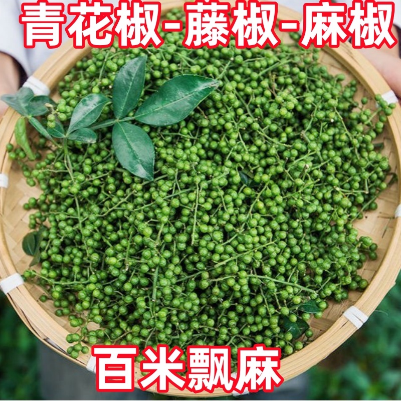 新鲜青花椒重庆四川真空保鲜花椒鲜花椒藤椒特麻特香鲜花椒商