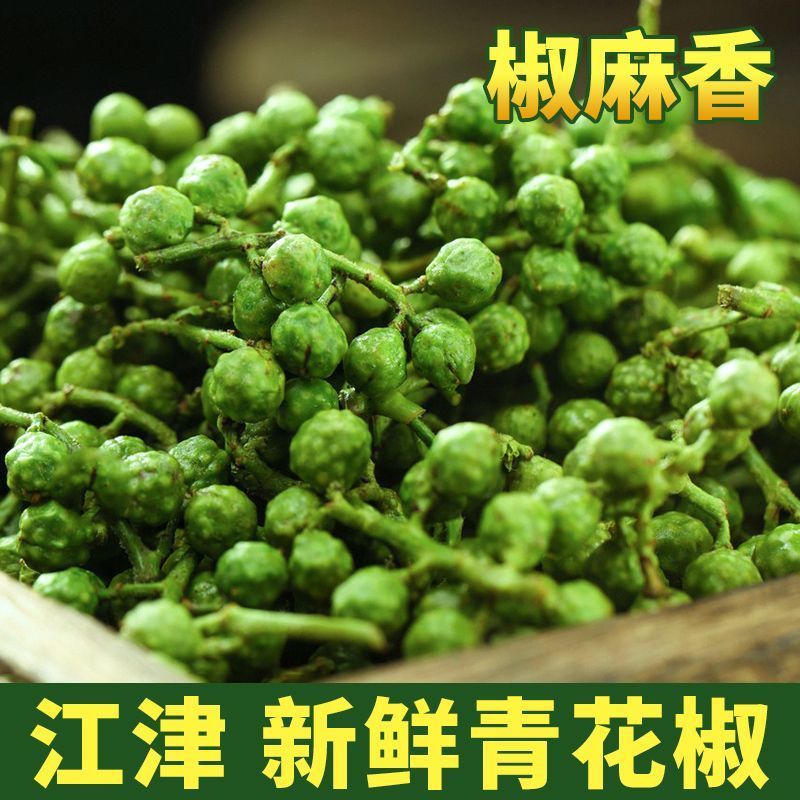 新鲜青花椒重庆四川真空保鲜花椒鲜花椒藤椒特麻特香鲜花椒商