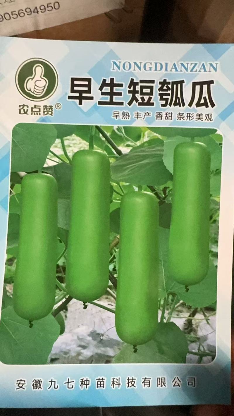 早生短瓠瓜-瓠瓜种子早熟丰产耐热耐寒瓜皮翠绿香甜脆嫩