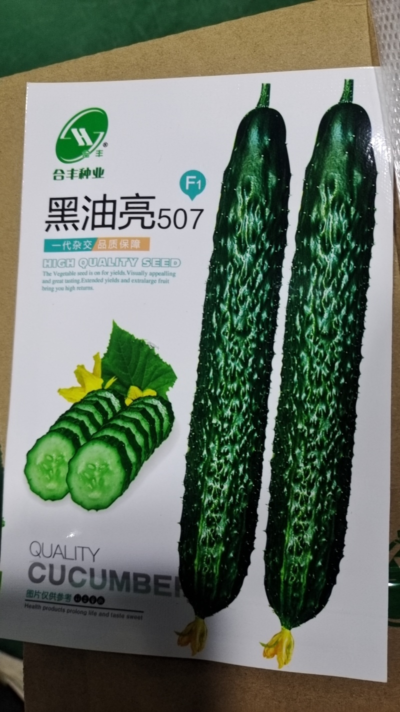 黑油亮507-早熟黄瓜种子瓜条顺直长势旺产量高密刺