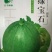 绿宝石-薄皮甜瓜种子早中熟质地细脆风味浓郁杂交一代