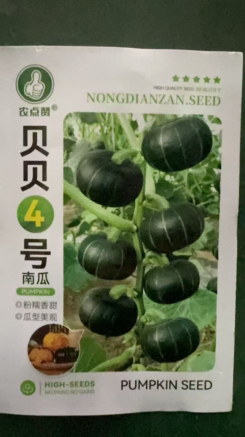 贝贝南瓜-南瓜种子中熟口感粉糯微甜肉质紧密品质好