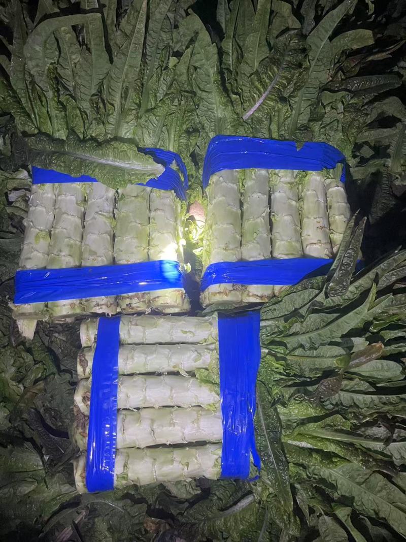 【产地直发】优选莴笋对接电商，市场，商超，量大从优