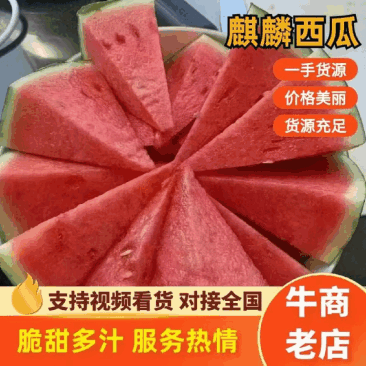 河南商丘麒麟西瓜耐运输专业小工不间断发货全国接单承接商超