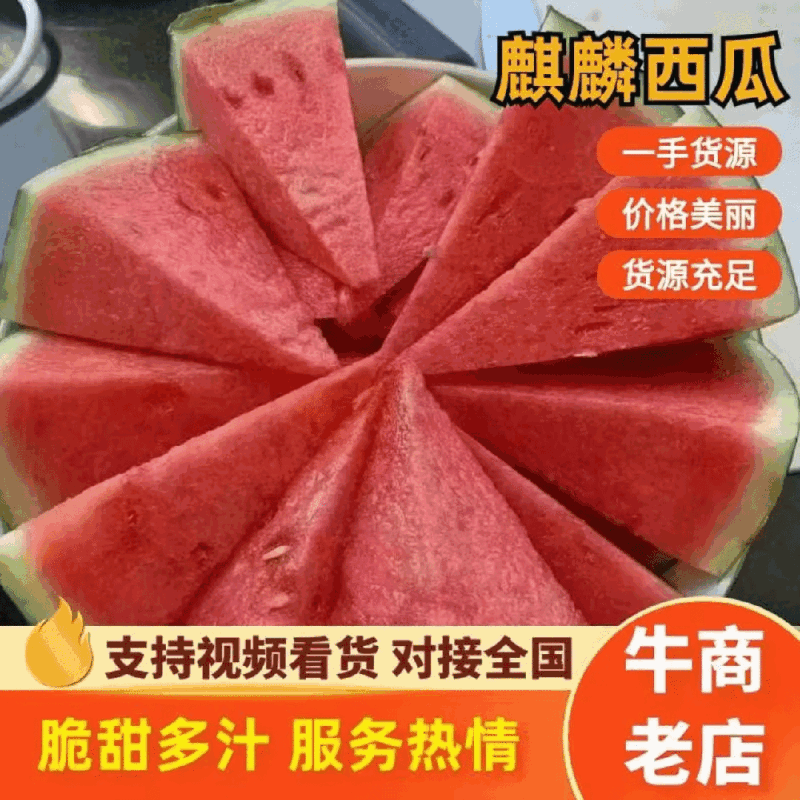 河南商丘麒麟西瓜耐运输专业小工不间断发货全国接单承接商超
