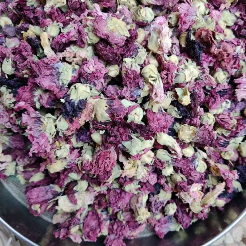 芙蓉花木芙蓉花地芙蓉花干芙蓉批发