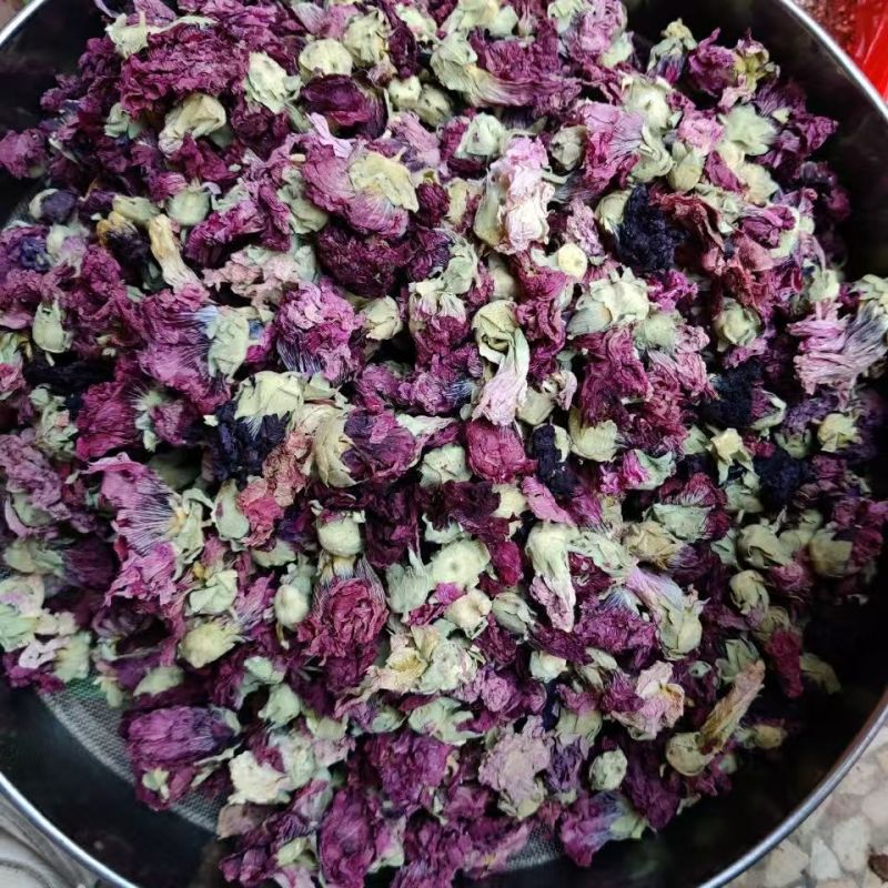 芙蓉花木芙蓉花地芙蓉花干芙蓉批发