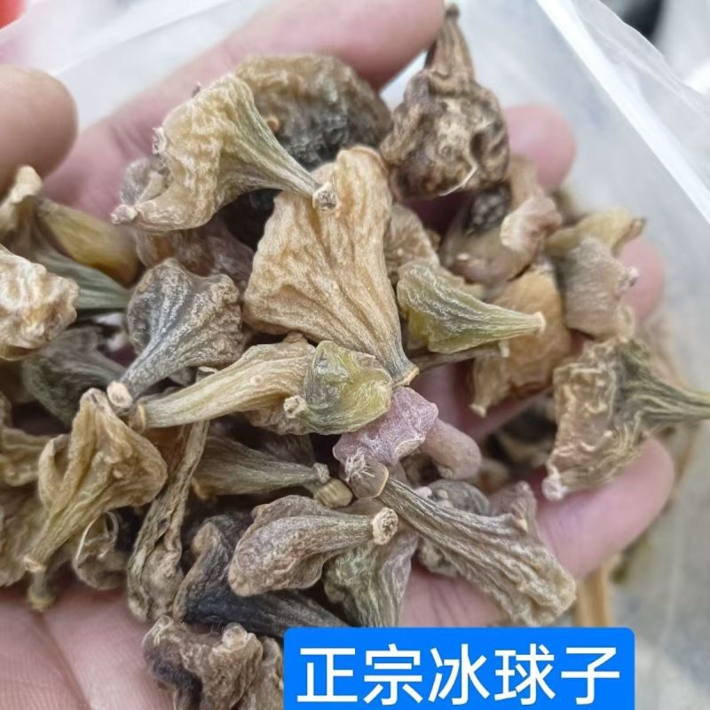 冰球子冰球子无硫贵州山慈泥冰子批发批发