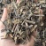 九节茶肿节风消延大王九节茶肿节风消延大王批发