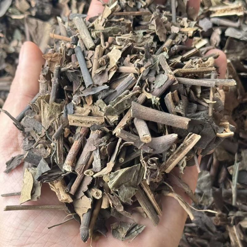 九节茶肿节风消延大王九节茶肿节风消延大王批发