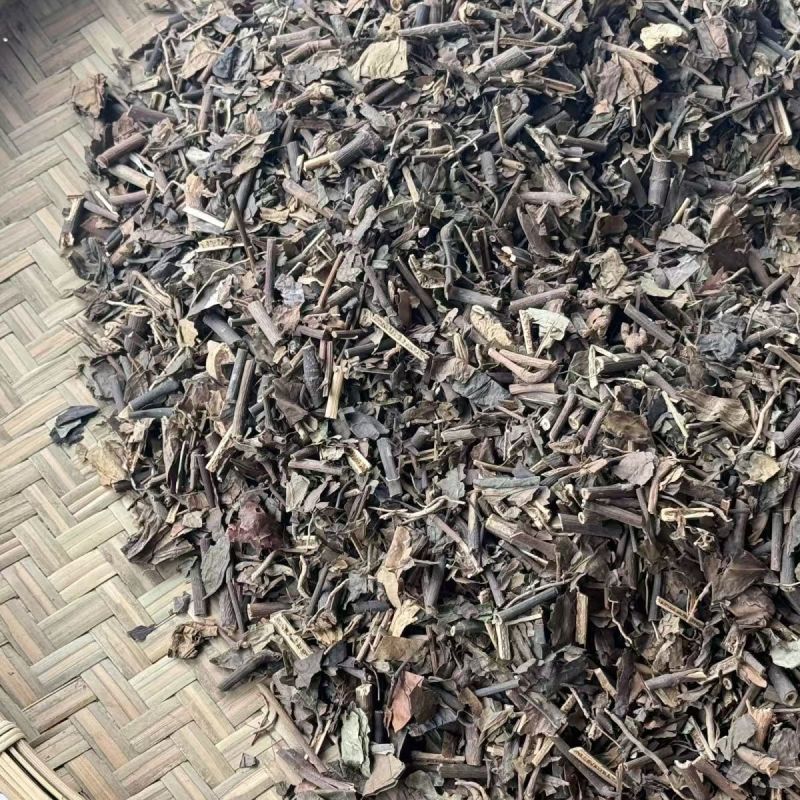 九节茶肿节风消延大王九节茶肿节风消延大王批发