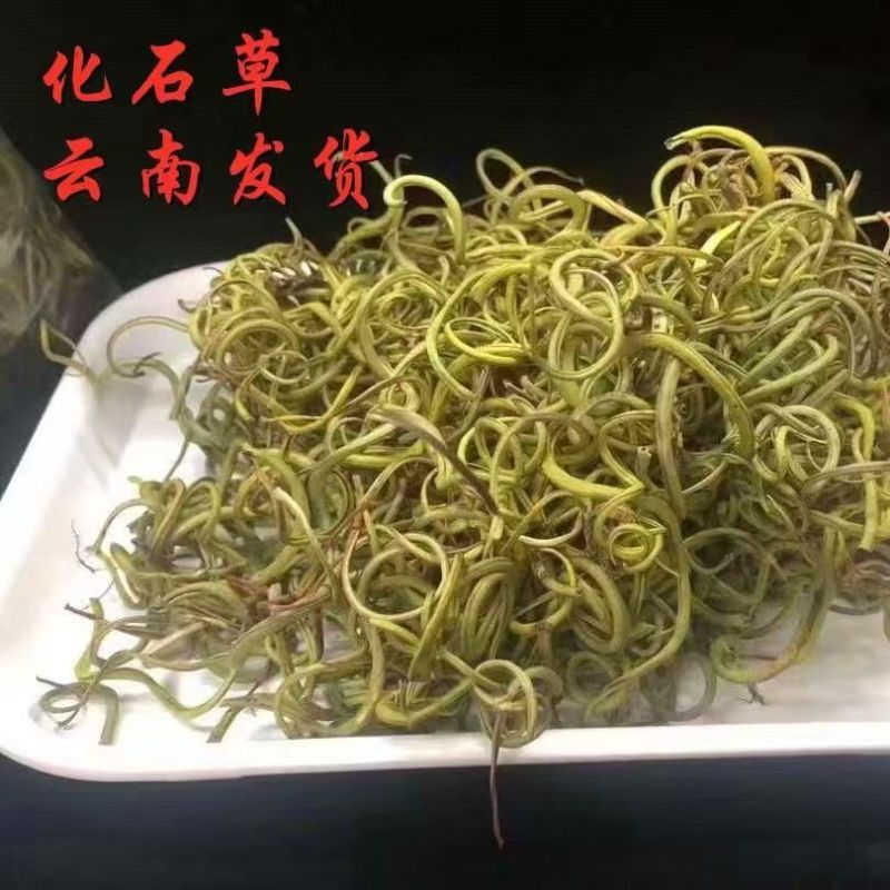 化石草肾精草化石草肾精草批发