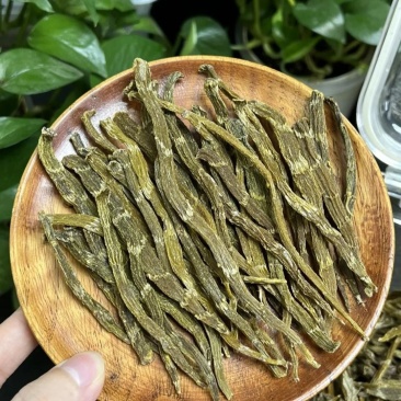 铁皮珍虫石斛干条云南自然生长新鲜无施肥胶质浓郁原产地珍虫