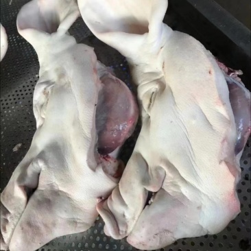 母猪头