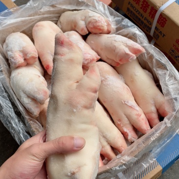 母猪蹄