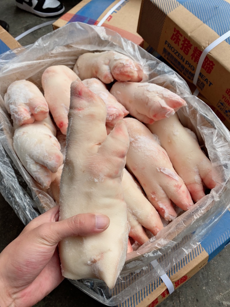 母猪蹄