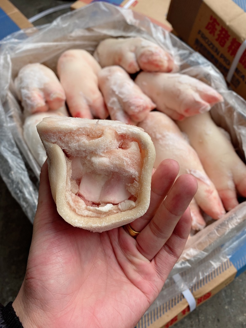 母猪蹄