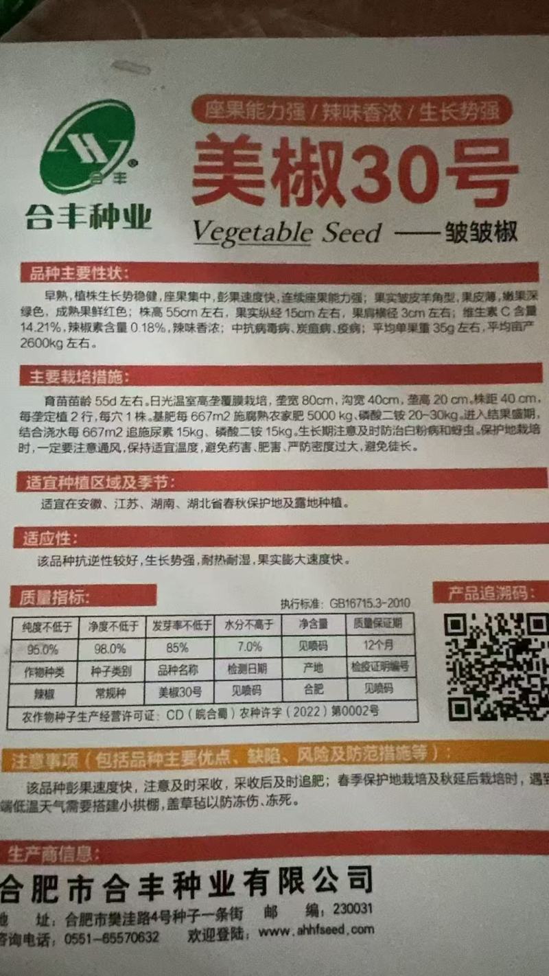 美椒30号-皱皮椒种子皮薄脆嫩辣度适中耐高温高湿