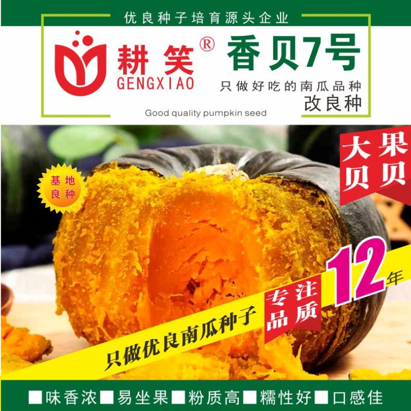 香贝7号贝贝种子大果贝贝品质好产量高厂家批发1000粒装