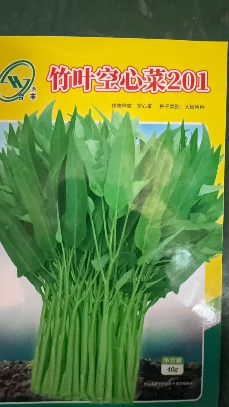 竹叶空心菜201-空心菜种子脆嫩适应性广生长快多茬采收