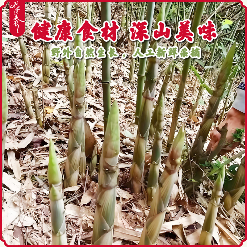 优享美农2025嫩竹笋家自制笋干湖南小笋干小竹笋干笋干
