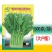 竹叶空心菜201-空心菜种子脆嫩适应性广生长快多茬采收