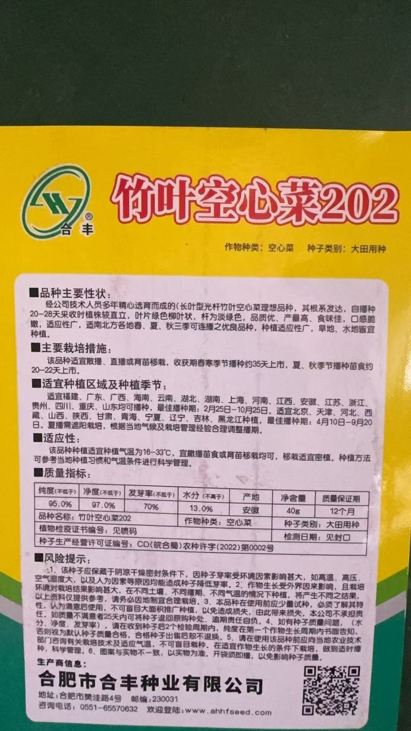 竹叶空心菜202-长叶光杆口感鲜嫩营养丰富产量高
