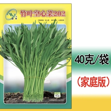 竹叶空心菜202-长叶光杆口感鲜嫩营养丰富产量高