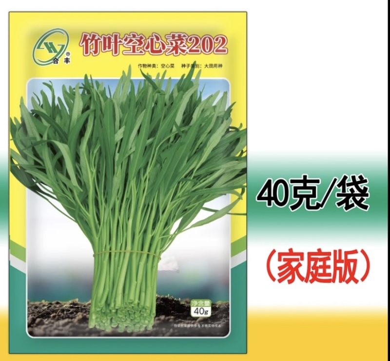 竹叶空心菜202-长叶光杆口感鲜嫩营养丰富产量高