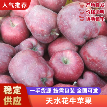 天水花牛苹果以大量上市，支持电商，一件代发