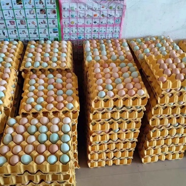 【大量有货】粉蛋品质保证产地直发可对接各种商超