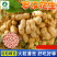 罗汉花生668-花生种子粒大壳薄结果性好耐寒耐旱生长快