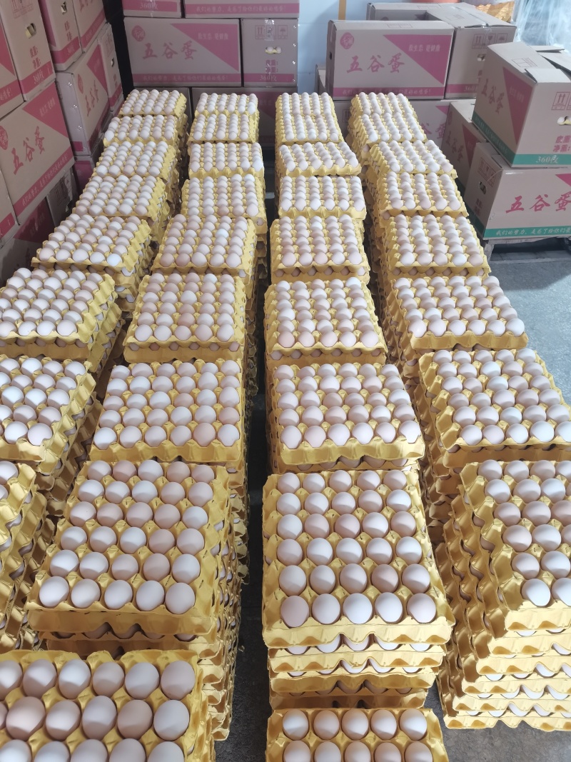 【货源充足】粉蛋欢迎新老客户来电咨询