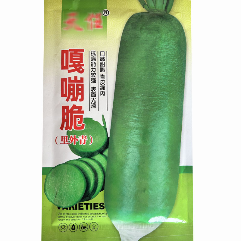 水果萝卜种子嘎嘣脆口感脆青皮青肉75天基地品种