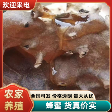 野生酸蜂蜜，天然土酸蜜，正真的纯酸蜜，没任何勾兑