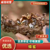 非人工养殖酸蜜，品质有保证，没有一滴滴勾兑保证