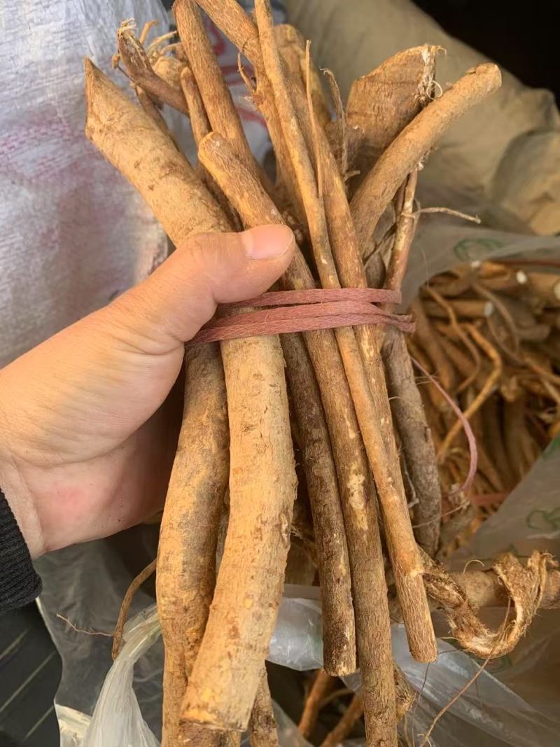 野生五指毛桃非人工种植鲜货直发保质保量