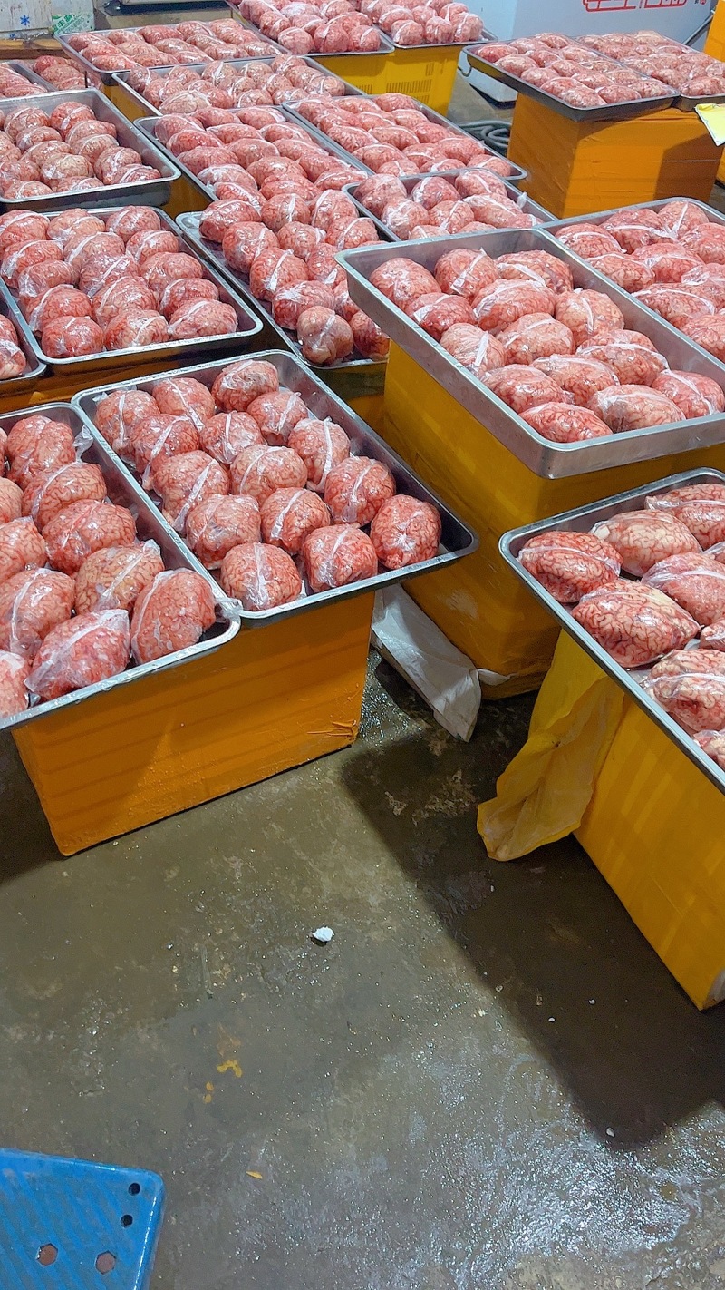 【牛商推荐】新鲜品质牛脑