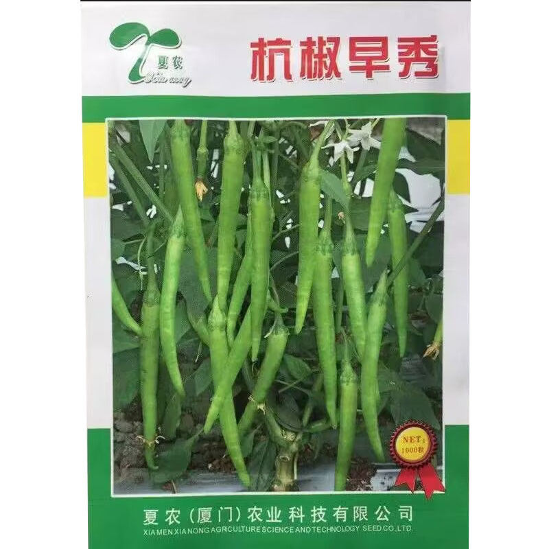 杭椒早翠种子杭椒种子早熟辣味较淡皮薄肉嫩采收期长