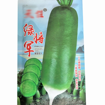 绿将军水果萝卜种子绿皮绿肉口感脆甜基地品种
