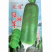 绿将军水果萝卜种子绿皮绿肉口感脆甜基地品种