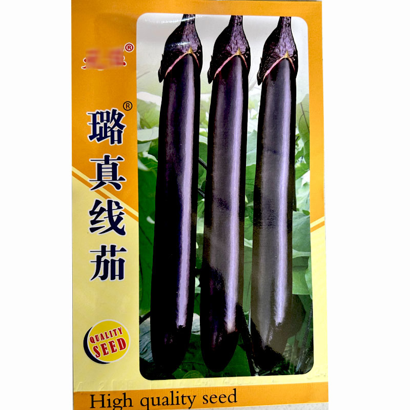 黑长线茄种子璐真线茄座果率高肉质细腻基地品种