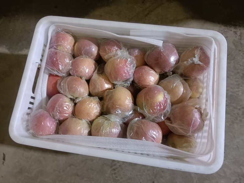 冰糖心红富士苹果河北苹果大量现货供应，规格齐全，代发全国