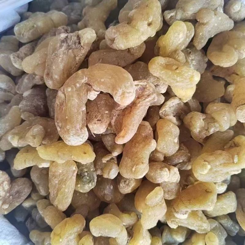 黄精生黄精云南黄精生黄精