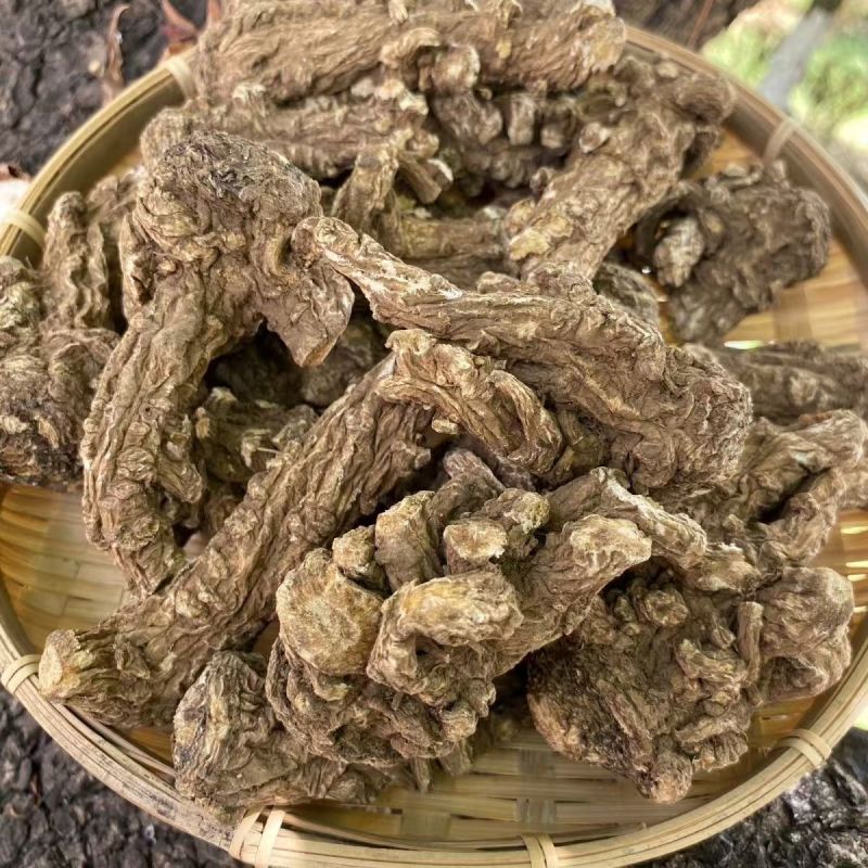 当归头当归当归头批发